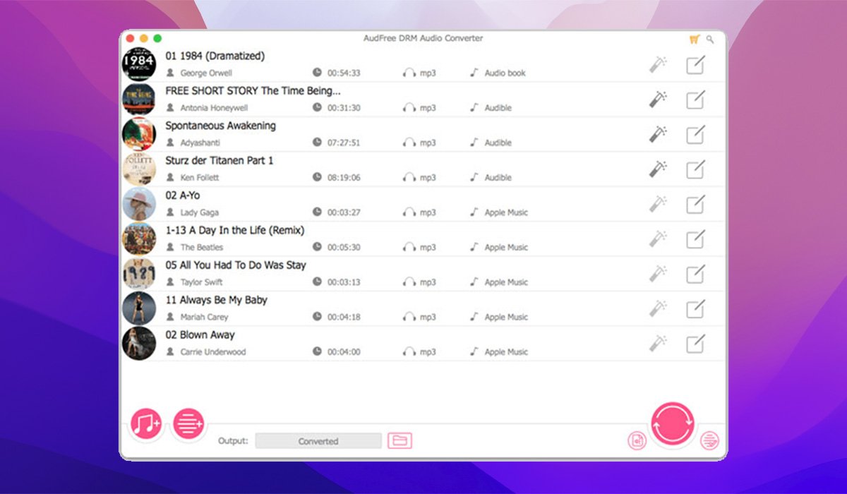 AudFree Audio Converter screenshot 1